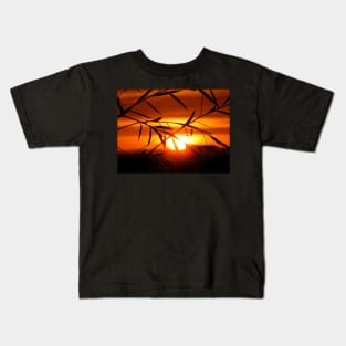 Sunrise Through Willow Kids T-Shirt